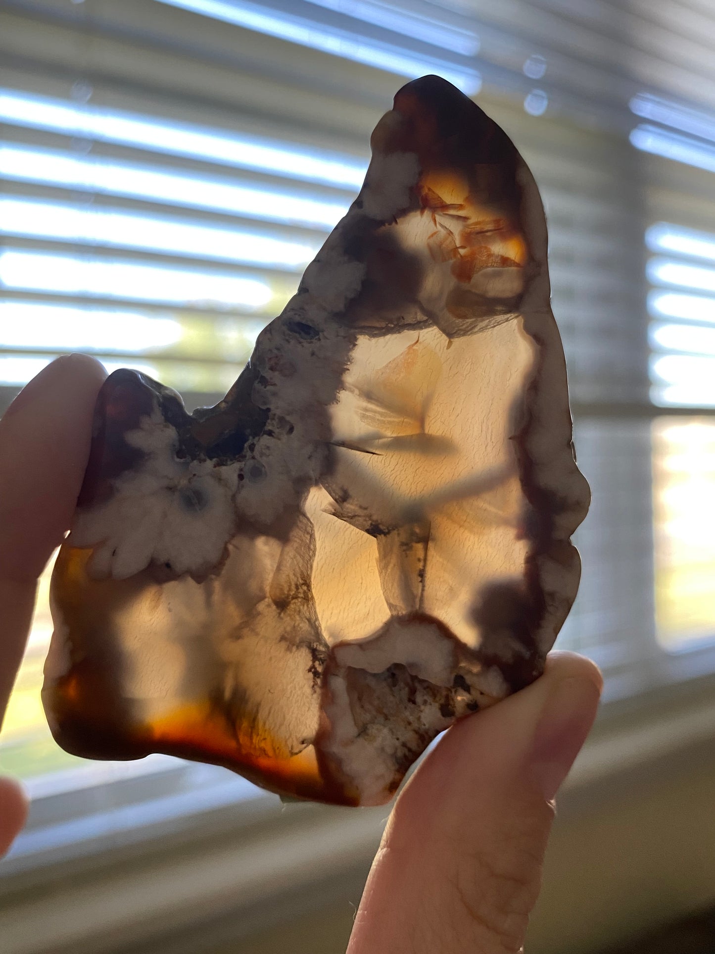 Flower agate Slice