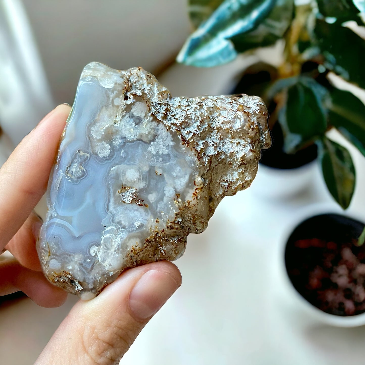 Blue Flower agate Slice