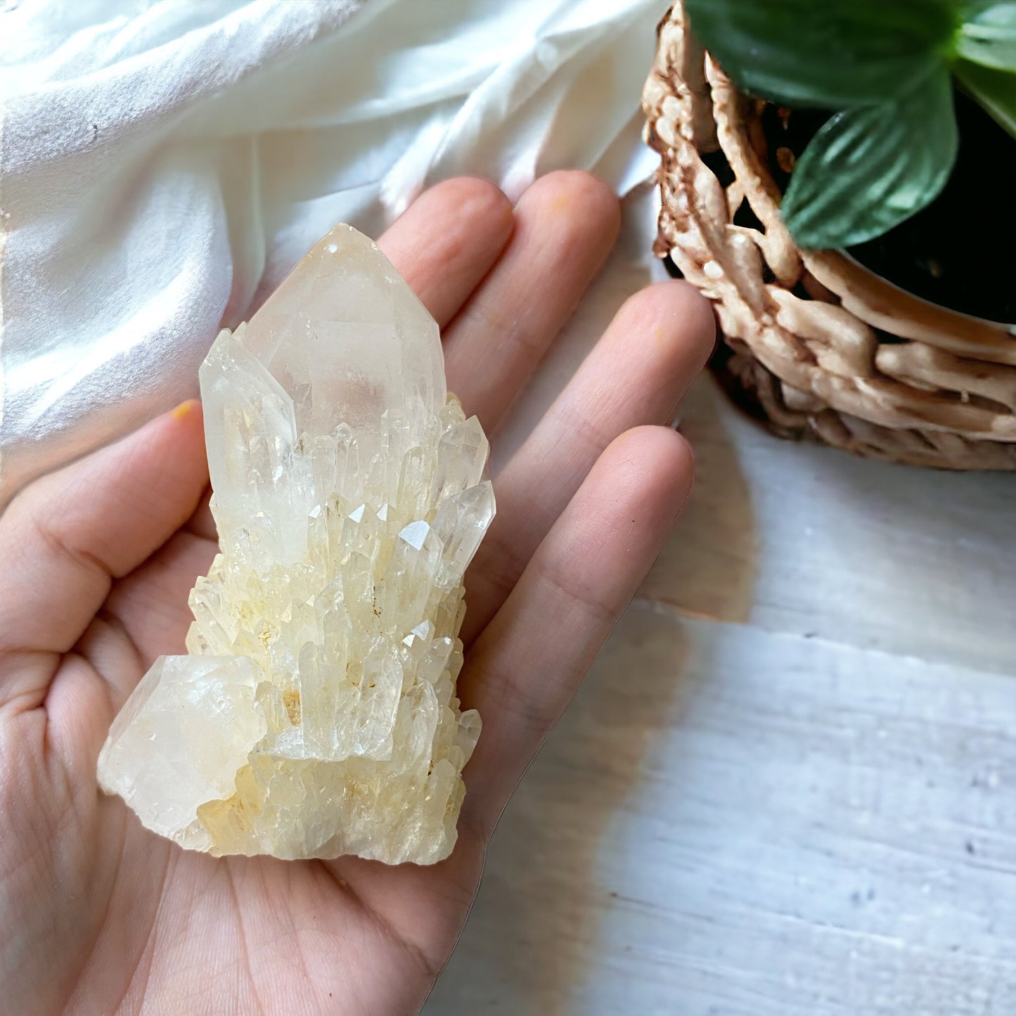 Golden Healer Pineapple Quartz (High frequency)