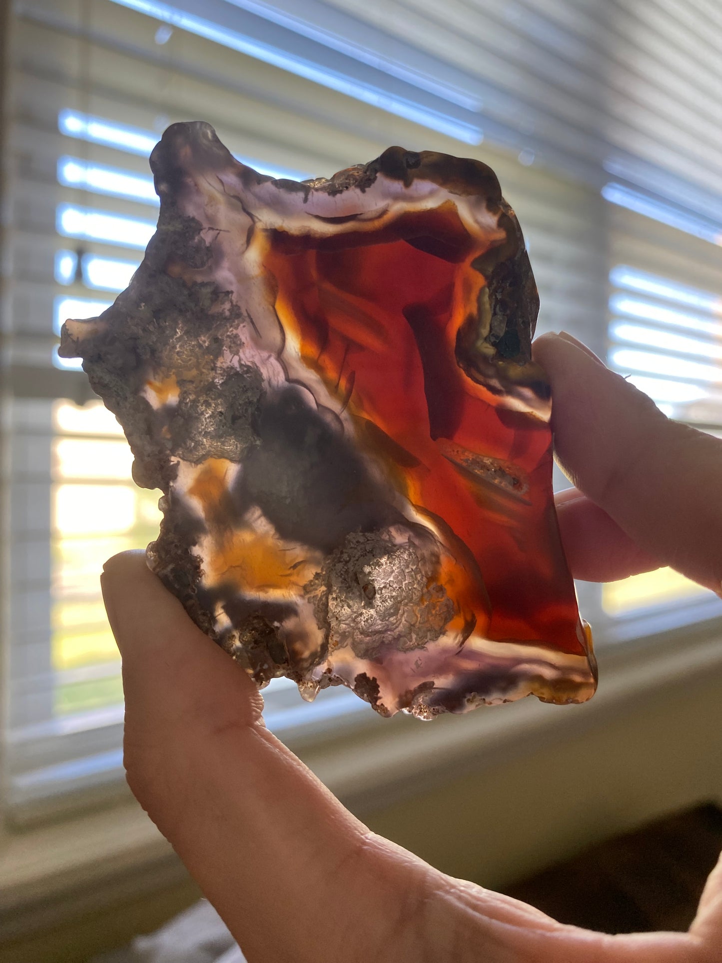 Red Flower agate Slice