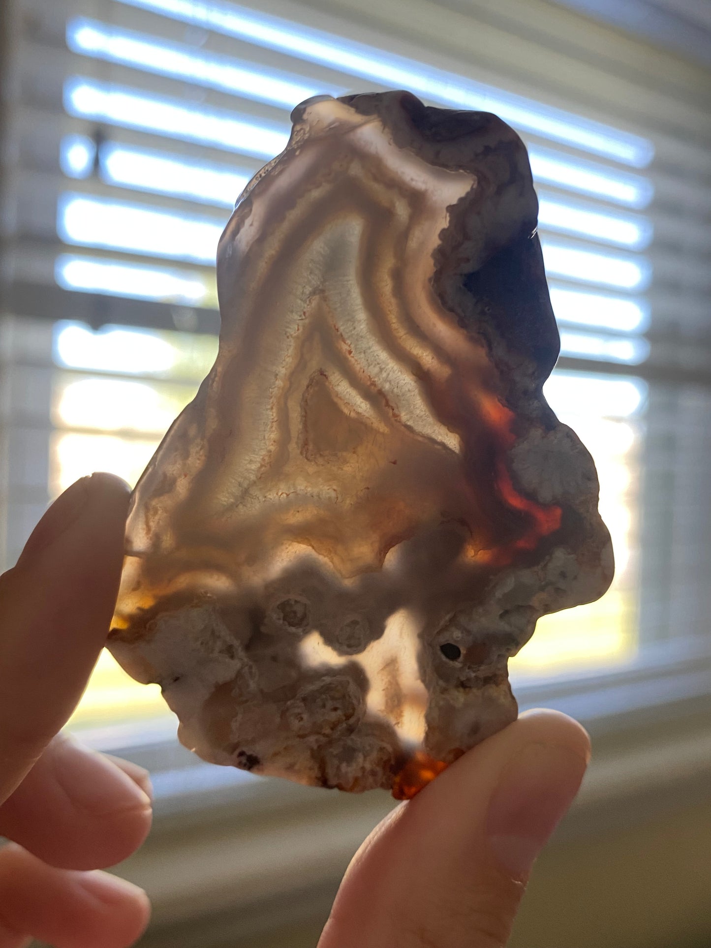 Flower agate Slice