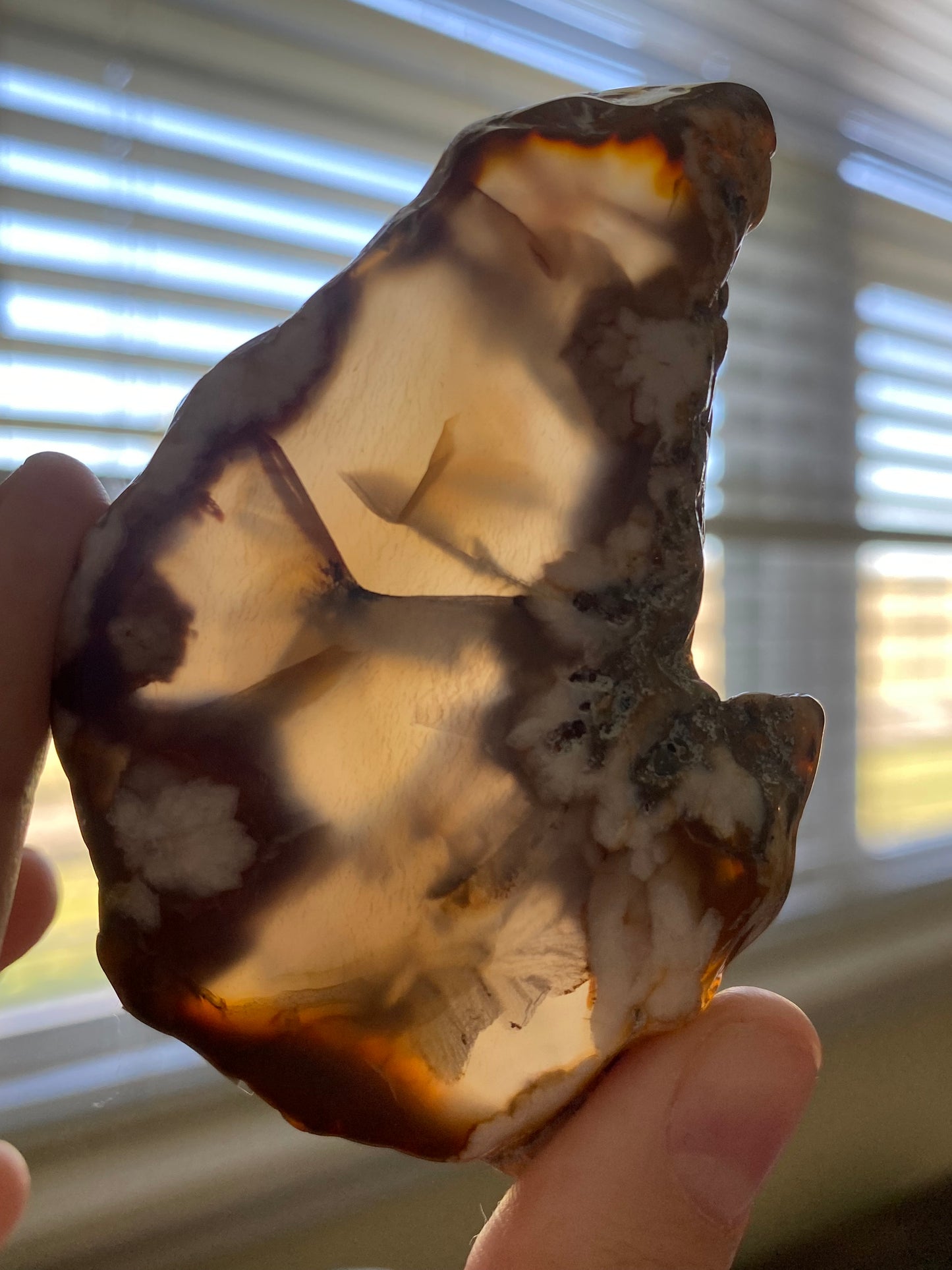 Flower agate Slice