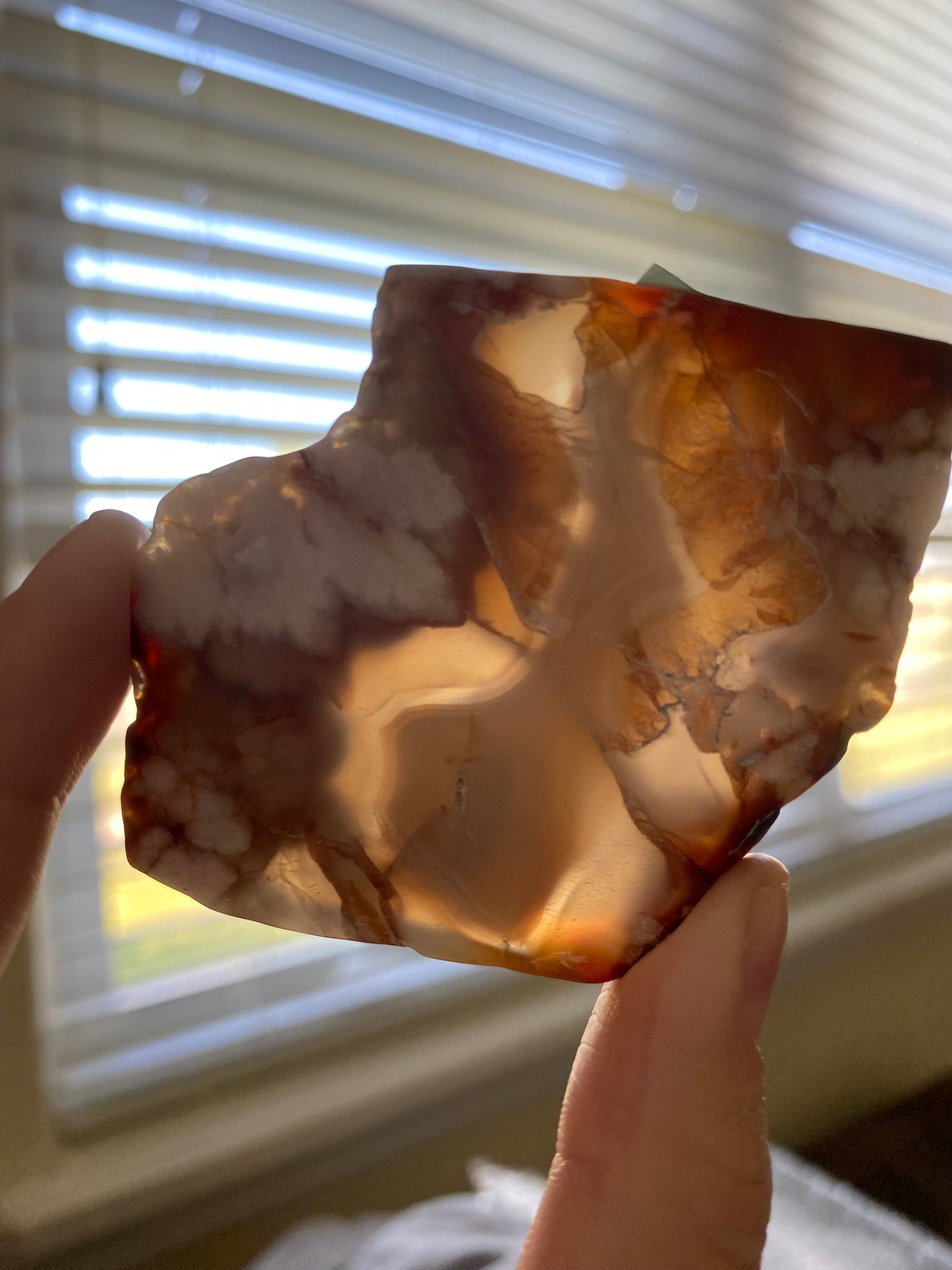 Flower agate Slice