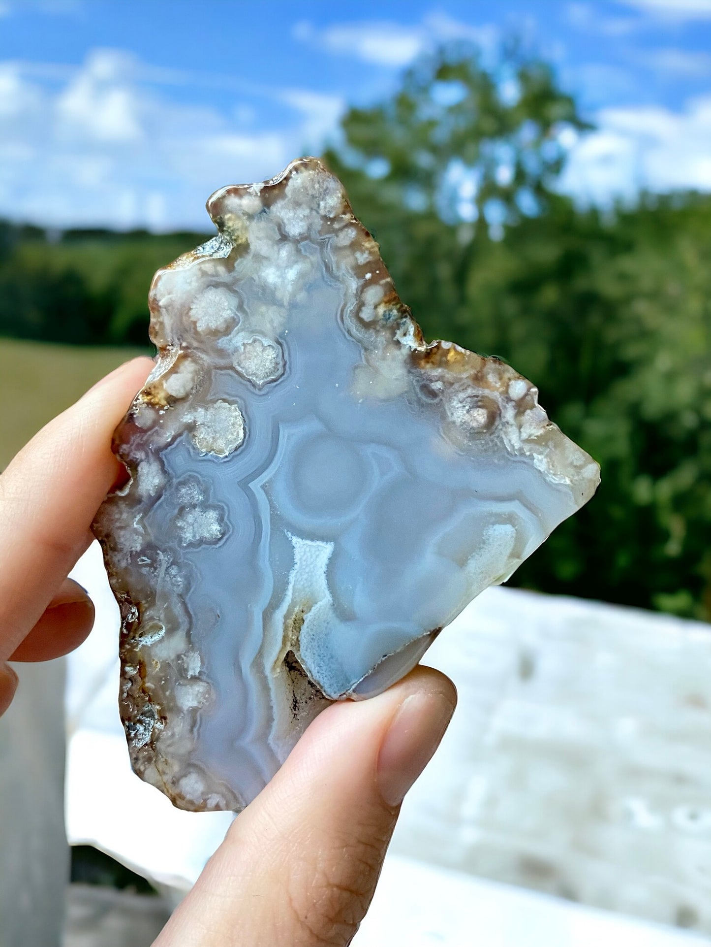 Blue Flower agate Slice