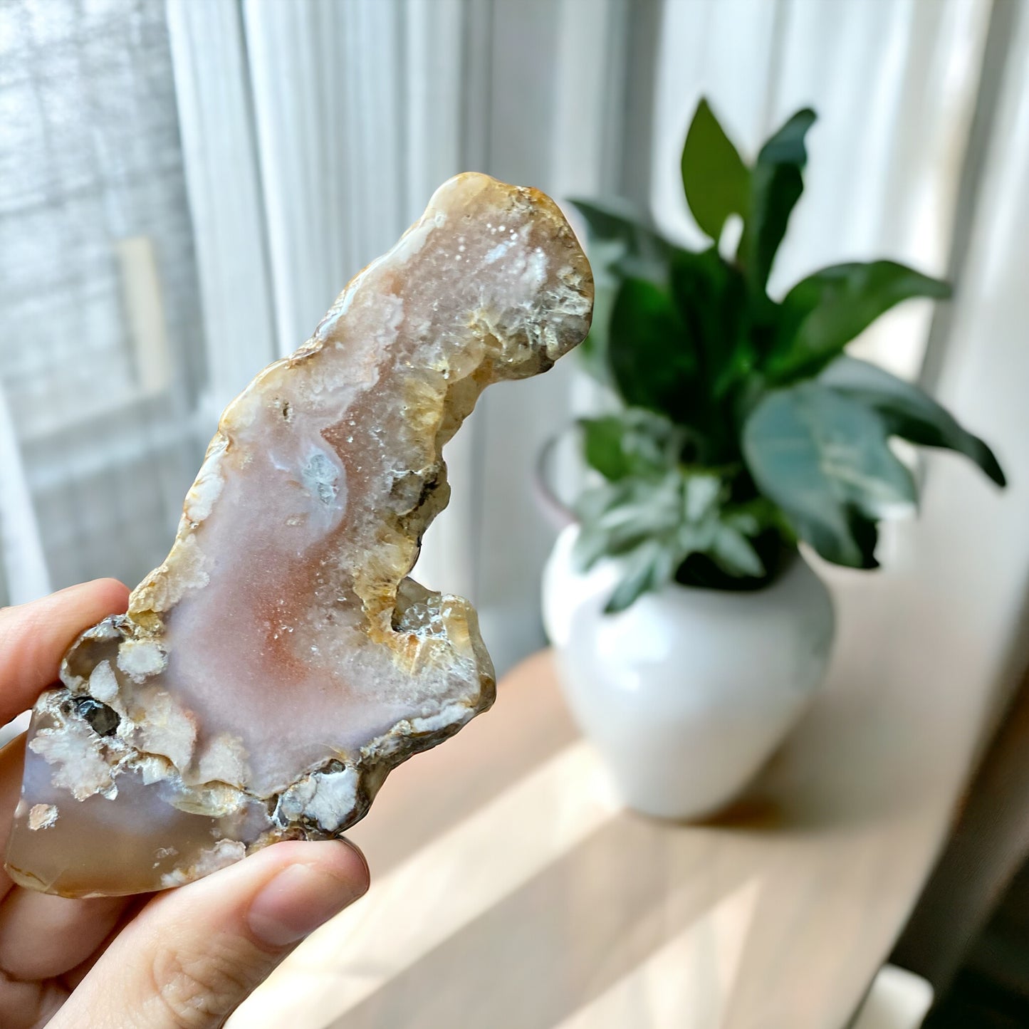 Flower agate Slice