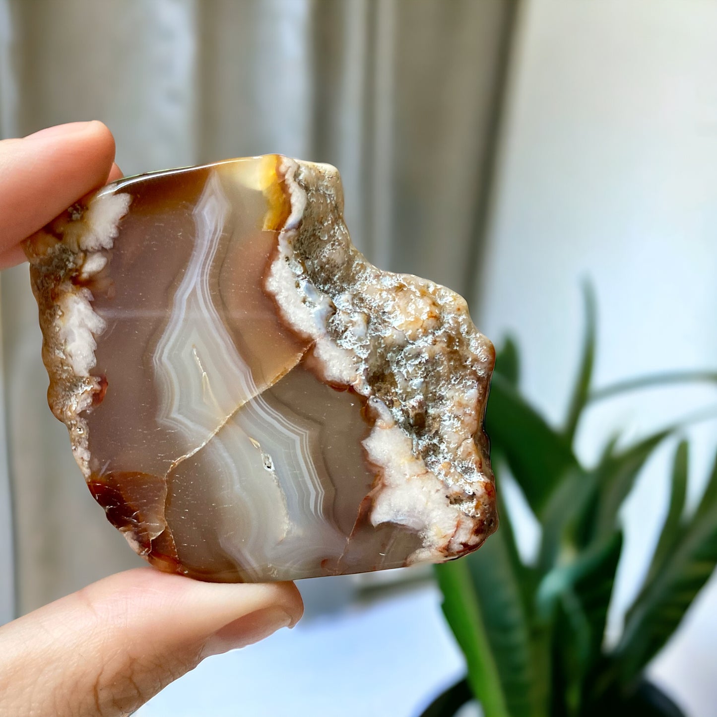 Flower agate Slice