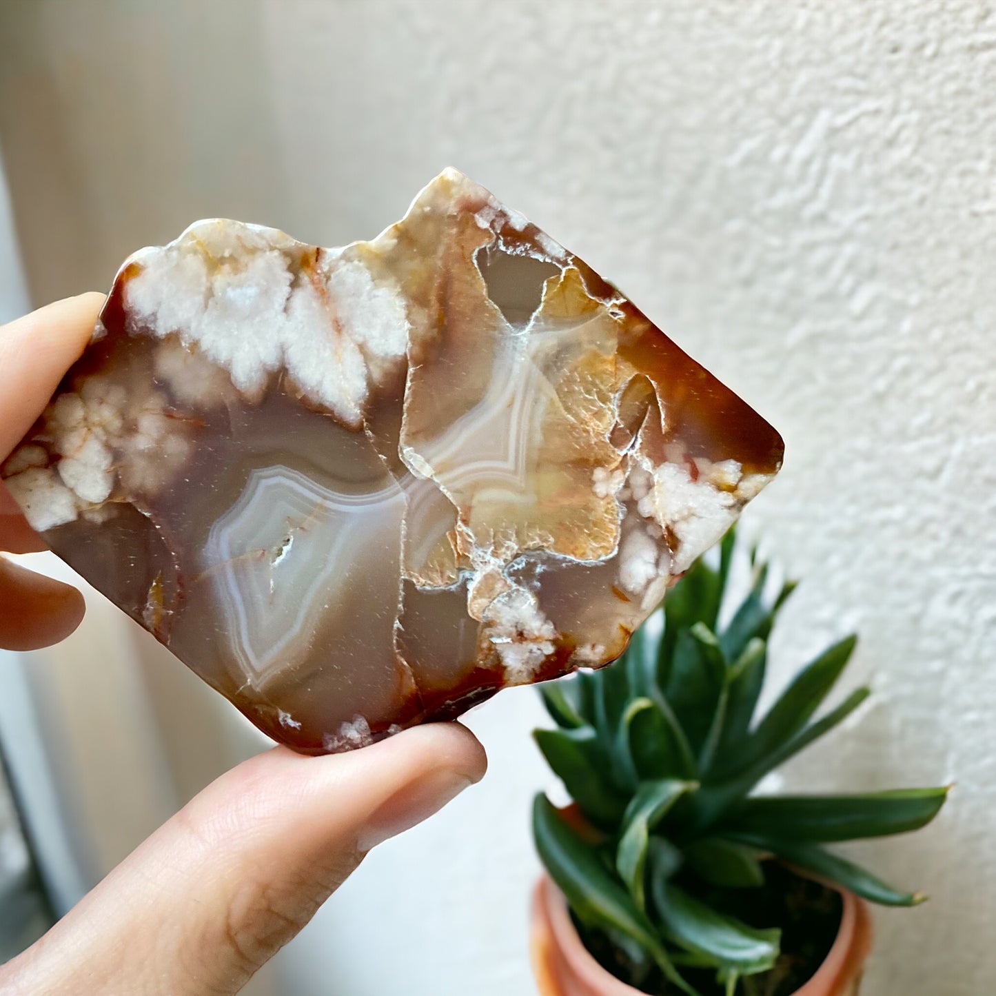 Flower agate Slice