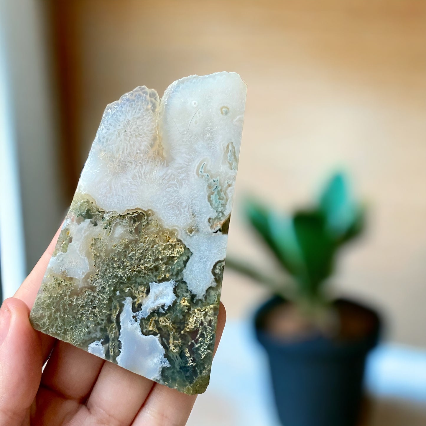 Botryoidal Moss Agate Slab (Imperfections)