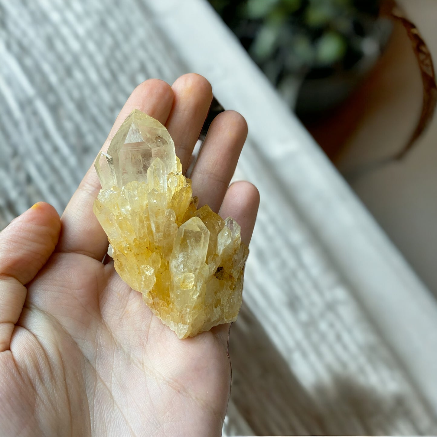 Golden Healer Pineapple Quartz (High frequency)